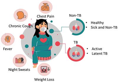 YOLOv8's advancements in tuberculosis identification from chest images